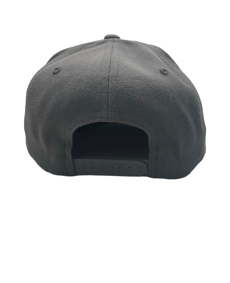 Gray Snap Back Hat